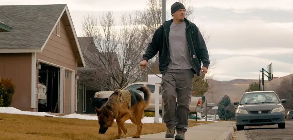 Stephen walking his dog